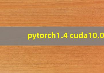 pytorch1.4 cuda10.0